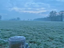 Ulanzi U-Vlog lite Extendable Dual Cold Shoe Ball Head Tripod for smartphone Sony Canon