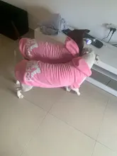 Adidog-ropa para perros pequeños, chaqueta con capucha deportiva de invierno, suéter de algodón suave abrigado puro, Chihuahua de peluche, ropa para cachorros