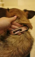 Collar de cuero personalizado para Perro, etiquetas identificativas para perros pequeños, medianos y grandes, Pitbull, Bulldog, Beagle