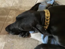 Dog-Chain-Collars Bulldog Pet-Training Stainless-Steel Metal Silver Strong for Large