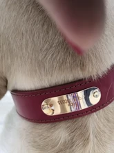 Dogs-Tag Collars German Shepherd Brown Personalized Genuine-Leather Pitubull Rich Large