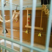 8Pcs/Set Bird Parrot Toys Wooden Hanging Swing Hammock Climbing Ladders Perches