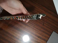 12 unids/set plantillas de cejas reutilizables de cejas de dibujo DIY guía modelado de estilo aseo tarjeta plantilla fácil maquillaje