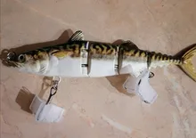 Swimbait-señuelo de atún de 4 secciones, 15cm, 31g, muestra gratis, Señuelos de pesca de lubina articulados duros para agua salada y dulce
