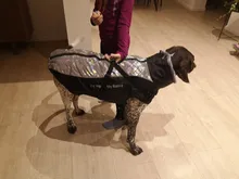 Pet-Dog-Clothes Clothing Walking-Harness Dogs Outdoor Waterproof Large Winter Medium