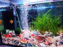 Luz de acuario LED resistente al agua, lámpara sumergible para plantas acuáticas, decoración acuática con Clip