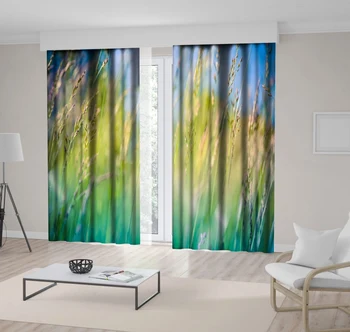 

Curtain Beautiful Close-up of Tall Grasses Ecology Wilderness Nature Landscape Meadow with Photo Blue Green