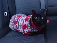 Pet Cat Reindeer Sweater Winter Warm Cat Clothes for Cats Kedi Outfit katten Clothing