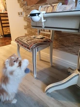 Cat-Toy Lifting-Ball Interactive Electric Funny Flutter