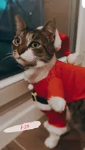 Christmas Cat Clothes Halloween Clothes For Cats Costume New Year Outfit Pet Cat Clothes