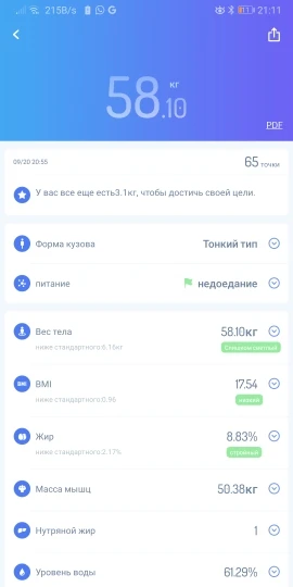 весы gason s4