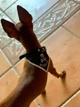 2019 nuevo gato perro baberos Bandana Collar bufanda ajustable bufanda pañoleta impermeable, de Saliva toalla pequeño mediano para perros