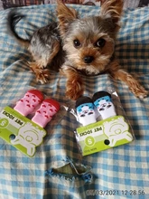 Socks Dog-Shoes Paw-Protector Chihuahua-Boots Puppy Small Dogs Winter Anti-Slip for Indoor-Wear