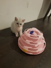 Ball Cat-Toys Play Cat Intelligence Tower-Tracks-Disc Training Amusement-Plate