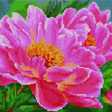 Алмазная мозаика EF 980 Апогей цветения 30*40