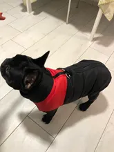 Vest Jacket Pets-Clothing Pug-Coat Puppy Dogs French Bulldog Waterproof Small Winter