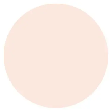L'Oreal Paris Ультрастойкая пудра для лица "Infaillible", матирующая, оттенок 123, Теплый ванильный, 10 гр