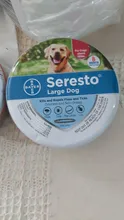 Seresto-Collar de prevención para perros y gatos, elimina las pulgas y garrapatas, mosquitos, mascotas, accesorios pequeños y medianos