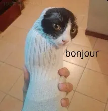 Sudadera de lana de oveja de imitación para mujer, de color sólido, holgada coreana, tops de Cremallera gruesa de terciopelo, Sudadera con capucha, novedad de otoño e invierno de 2020