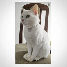 Accesorios para mascotas, corazón, diamantes de imitación, para cachorros, gatos, mascotas con Collar de perlas, accesorios de amor, joyería