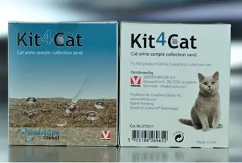 

Sand cats urine test KIT4CAT