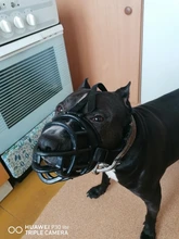 Bozal de silicona suave para perros pequeños, medianos, grandes y x-grandes, cesta transpirable, para mordeduras y ladridos