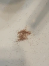 Recortador de pelo inalámbrico con extremo dividido para hombres y mujeres Incluye ajustes de Ajuste fijos de 1/4 , incluye accesorios para el cabello y bolsa de transporte