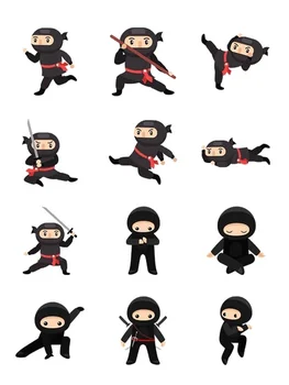 

Set Ninja
