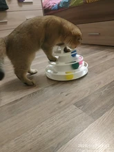 Ball Cat-Toys Play Cat Intelligence Tower-Tracks-Disc Training Amusement-Plate