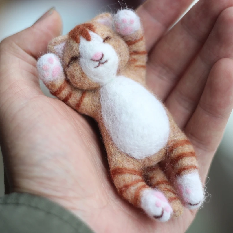 

Sleeping Cat Needle Felting Kit for Beginner, Felting Starter Kit, Contains Enough Felting Wool and Tools, English Manual