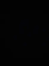 2021 blanco nuevo zapatillas de deporte de moda de las mujeres plataforma cómoda vulcanizar zapatos de encaje zapatos casuales calzado cesta para verano zapatillas mujer zapatos mujer