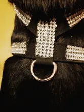 Collar de perro ajustable productos para mascotas Collar para perro arnés correa de liberación rápida Rhinestone Bling de cuero de la PU 1 PC