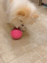 Pets-Chew-Toys Interactive-Supplies Food-Ball Molar-Teeth-Cleaner Dog-Leaking Tumbler