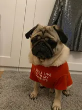 Letras de moda impreso Bulldog francés Camisa de algodón elástico ropa de perro mascota para Yorkshire Chihuahua verano bombero esposa camiseta bombero novia fuego emblema bombero Don bombero Cruz de traje