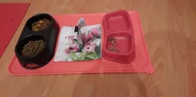 Silicone Pet dog Feeding Mat Non-Slip Pet Food Placemat for Dogs Cat Bowls 47x30cm