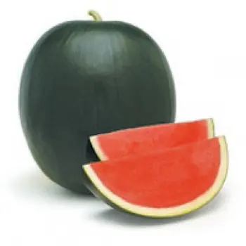 

Fenway F1 Çekirdeksiz Siyah Karpuz Tohumu 1000 Adet