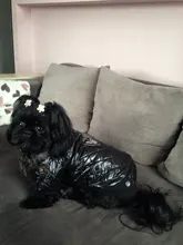 New Arrival Noble Pet Dogs Winter Vest Coat Fur Collar Russia Classic Dogs Clothing Soft