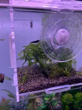 Caja de aislamiento para acuario, recipiente pequeño para freír, acrílico transparente, rejilla doble, suministros para acuario