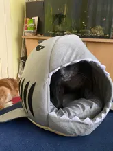 Puppy-House Dogs-Tent Shark Small Dog Large Pet-Product Cat Bed for High-Quality Cotton