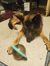 Juguetes Para Perros Dispener IQ, rompecabezas de entrenamiento de mascotas, Bola de comida para perros