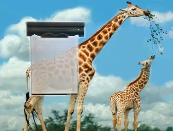 

Giraffe Lüx Series | Plise Perde | Cam Balkon ve Pencereler