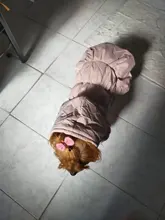 Hoodie Coat Outfit Warm-Dress Girl Dog Winter Princess New Floral 6-Sizes Bubble-Skirt