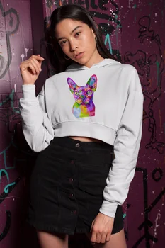 

Angemiel Wear Colorful Pharaoh Cat White Short Hooded Sweatshirt