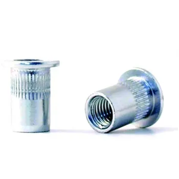 

RIVET NUT EN10016 M-08 C/ANCH AC ZINC PLATED BRALO 2(50 PCS)