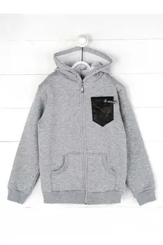 

Gray Winter Male Child Sweatshirt