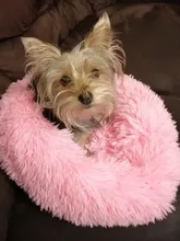 Bed Cushion House Sofa Cat-Beds Pet-Products Dogs-Basket Animals Plush Round Soft Long