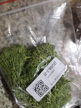 Hierba estática en polvo, césped Flocado de nailon, juguete de modelismo, Escena de 60g, seis colores/monocromo, diorama, mesa de arena, planta de simulación