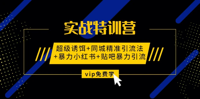 实战特训营:超级诱饵+同城精准引流法+暴力小红书+贴吧暴力引流(视频课程)