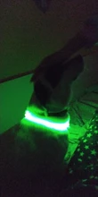 Dog-Collars Glowing Flashing Pet-Dog Rechargeable LED Night-Safety Luminous