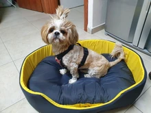 3D Washable Kennel Pet Bed For Dogs Cat House Dog Beds For Large Dogs Pets Products For